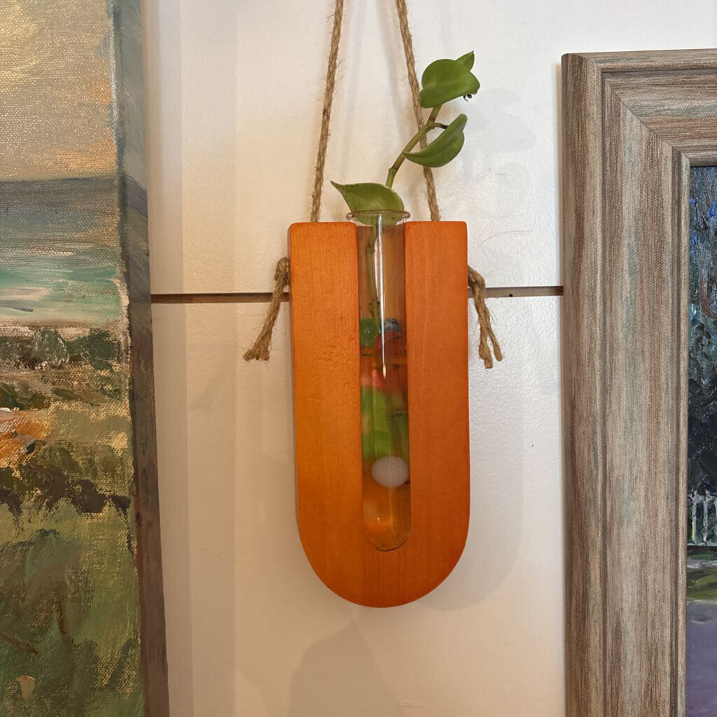 Hanging Wood Propagation