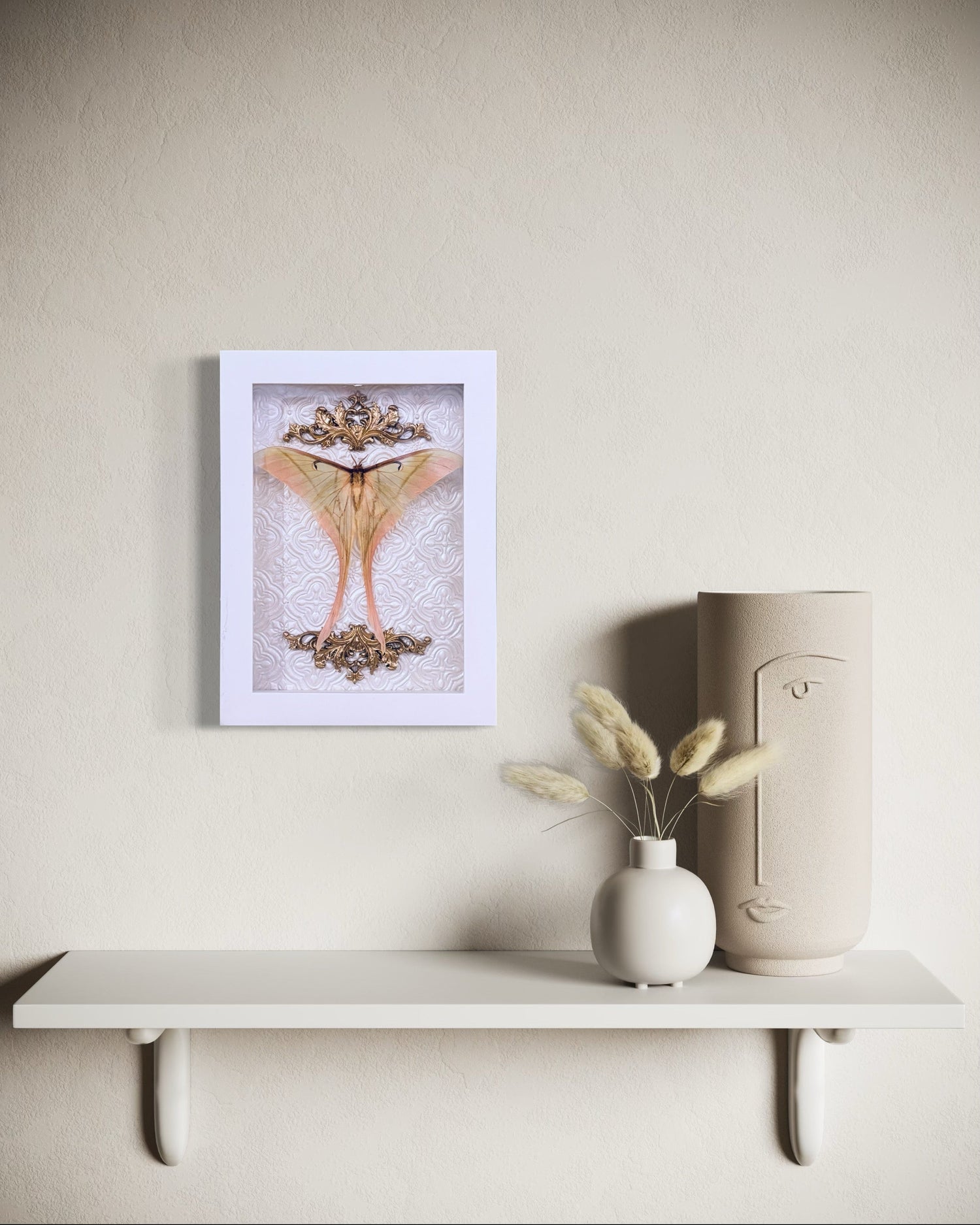 Taxidermy Pinned Insects