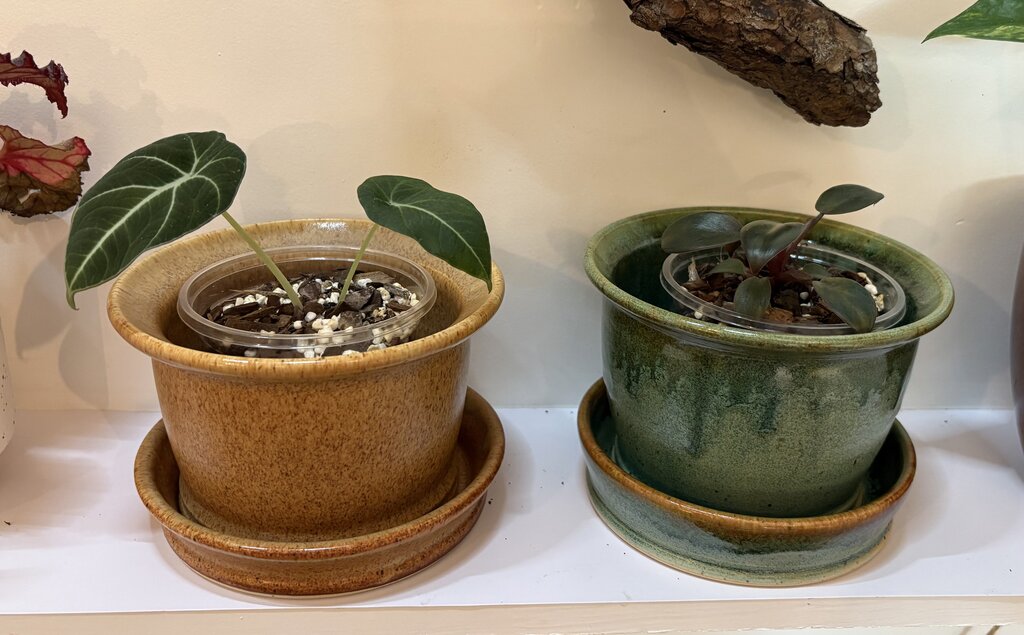 Stoneware Pottery Flowerpot w/Saucer