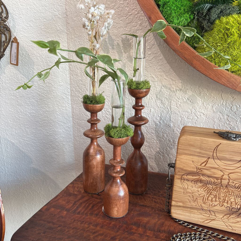 Wood Candle Stick Propagation Station