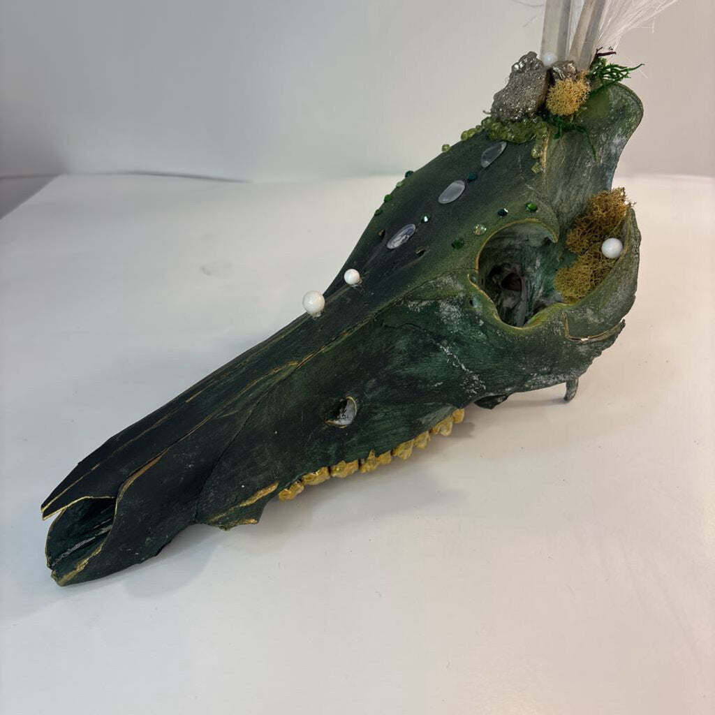 Adorned Wild Boar Skull