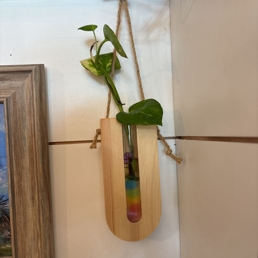 Hanging Wood Propagation