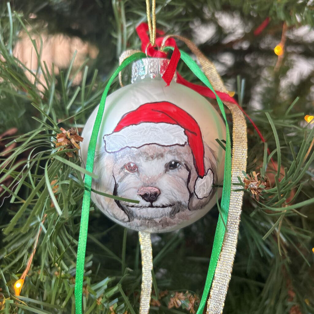 Hand Painted Glass Ornaments