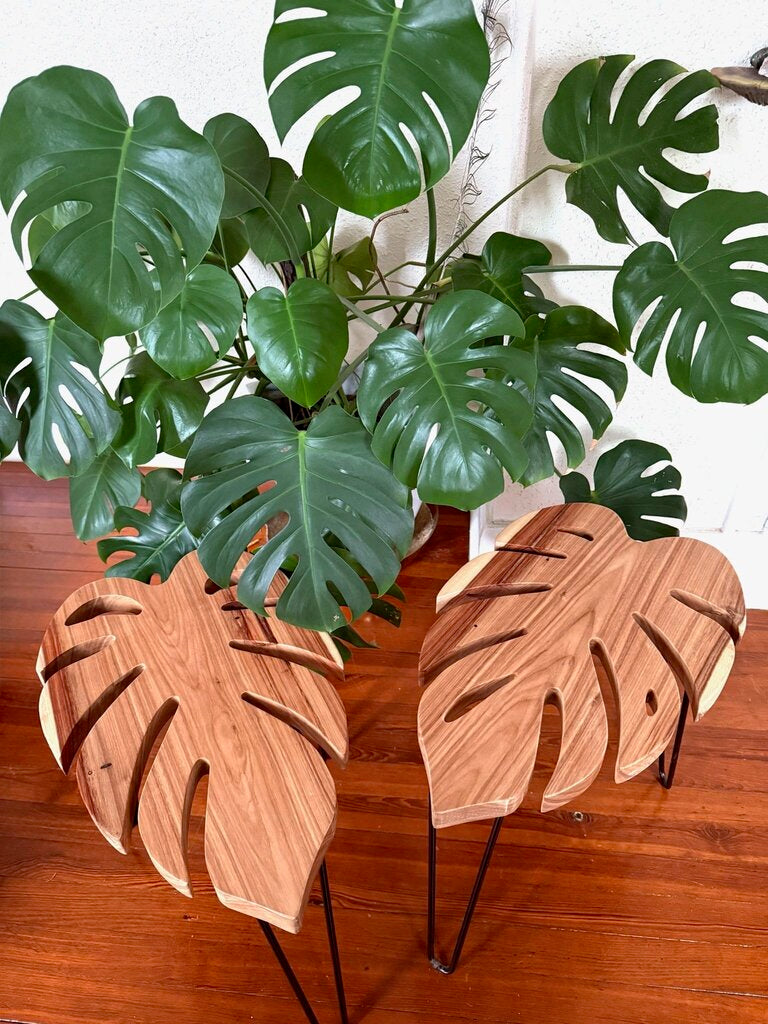Monstera Leaf Table