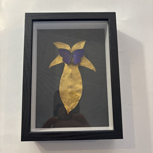 Magnificent Oak Blue Butterfly