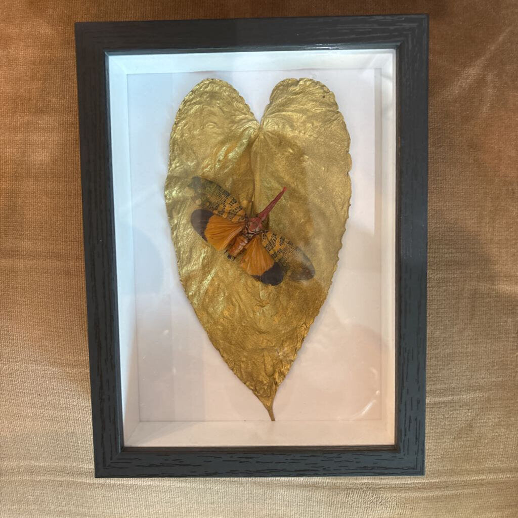 Orange Winged Lantern Fly