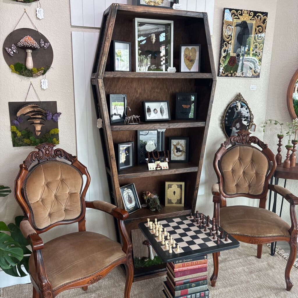 Coffin Bookshelf