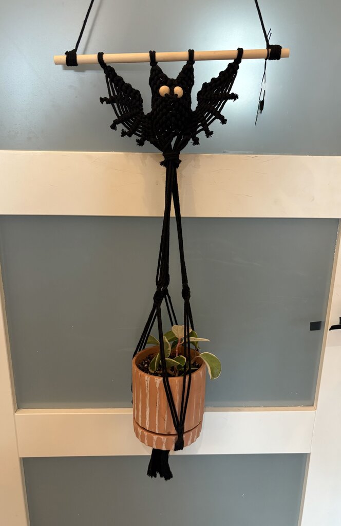 Kristen's Bat Macrame Plant Hanger