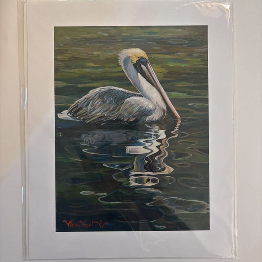 Pelican Reflections