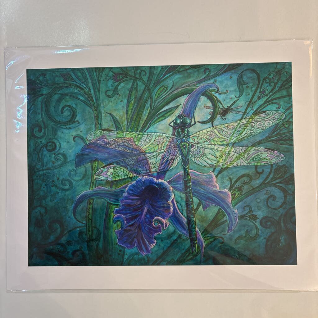 Dragonfly Distraction