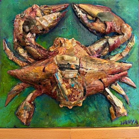 SeaShell Art- Crab