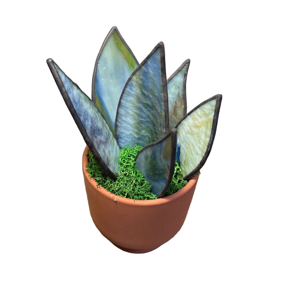 Stained Glass Art - TC Snake Plant
