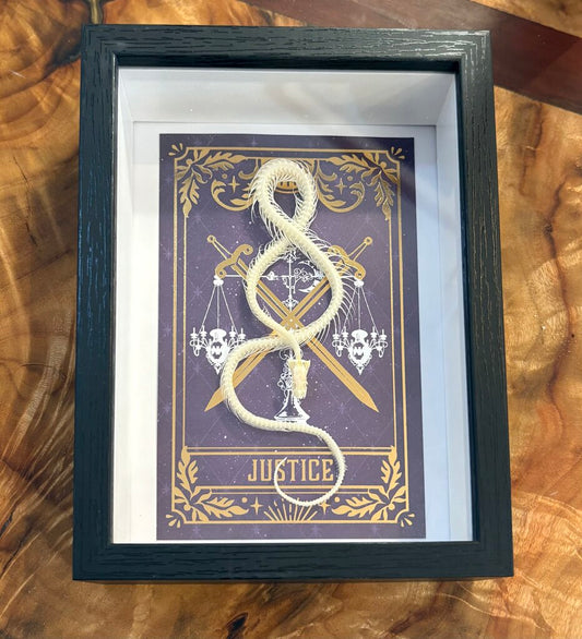 Framed Skeletal Snake- Justice