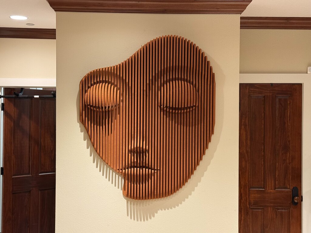 Parametric Wall Art-Face